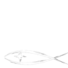 DigiFlood Webdesign